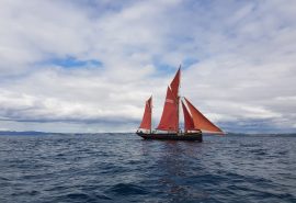 Sailing Holidays in Devon and Cornwall on Pilgrim of Brixham