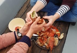 Bessie Ellen fresh lobster