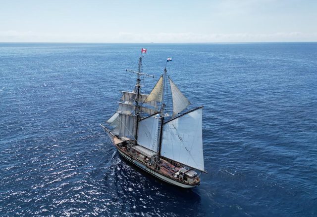 Caribbean Tall Ship Sailing; St Martin to Antigua