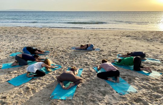 Agave Beach Yoga
