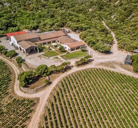 Agave Sardinia Wine Tasting