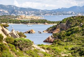 Agave Sardinia anchored