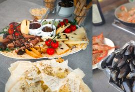 Agave food on board
