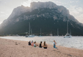 Agave guests on beach in Sardinia, Italy
