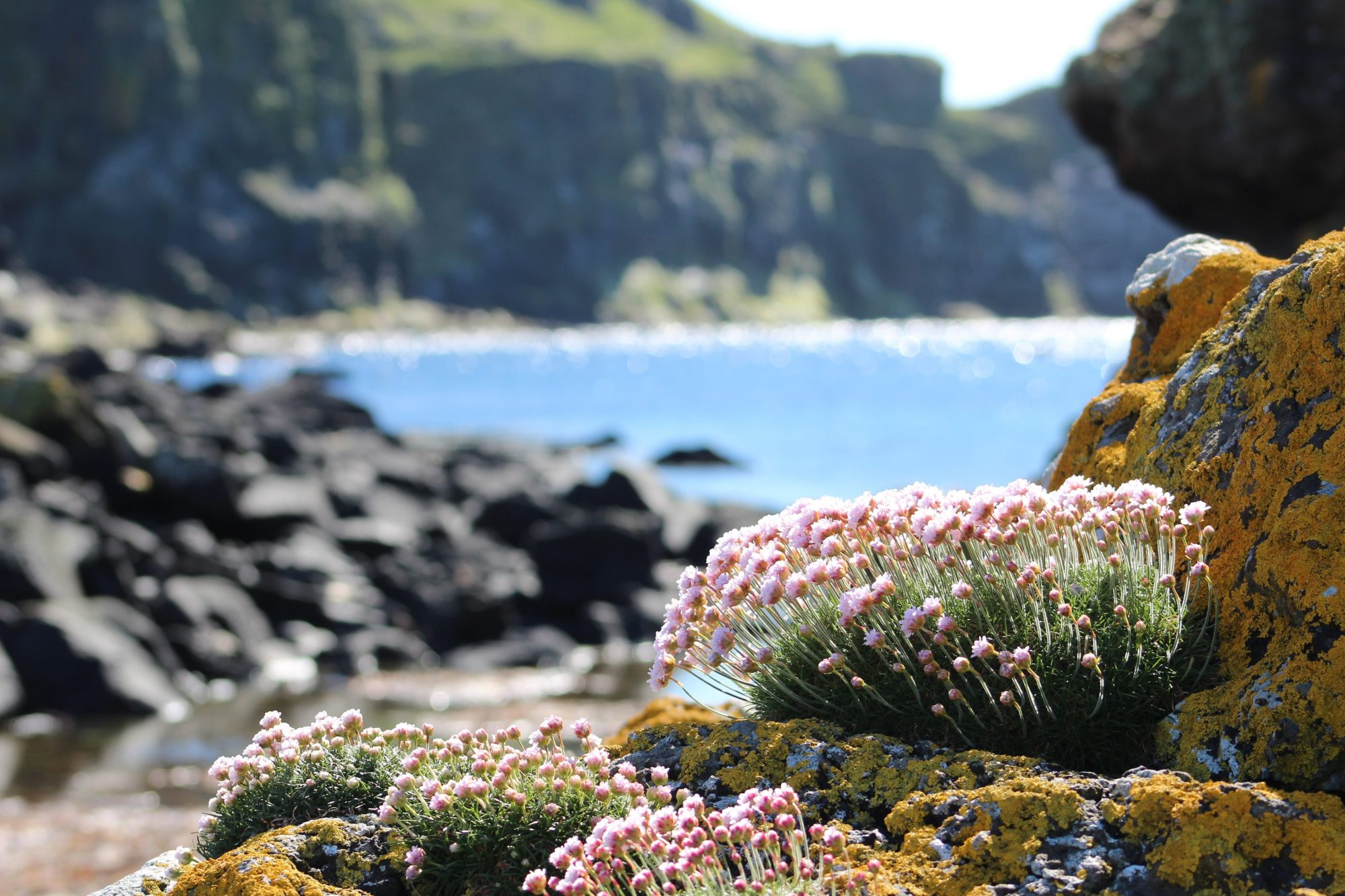 Hebridean Insight: Discover the Small Isles