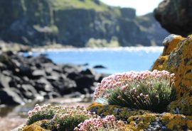 Hebridean Insight: Discover the Small Isles