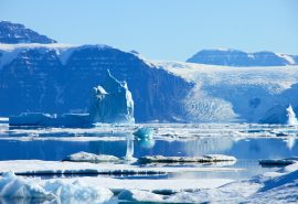 Antarctica Tecla