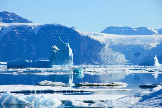 Antarctica Tecla