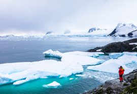 Antarctica Tecla man on ice cliff