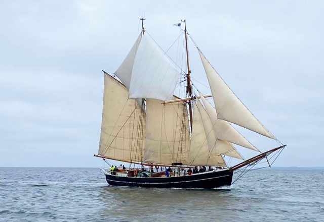 Tallship Taster Sailing Holiday in Denmark