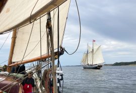 Aron marstal sailing