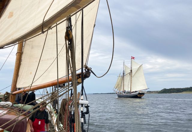 Hands-on Sailing in Denmark; Aalborg to Svendborg