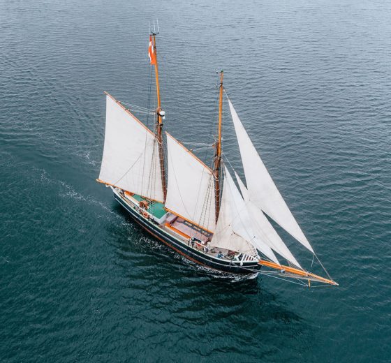Aron classic schooner full sail