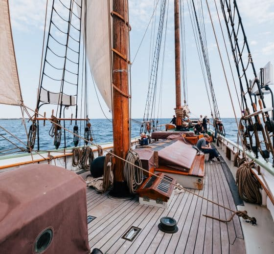 Aron sailing guests relaxing