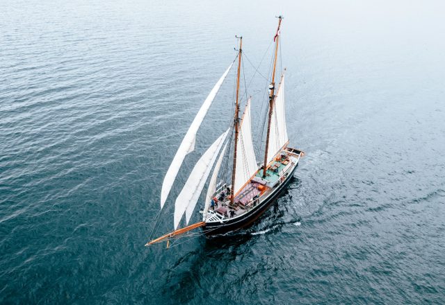 Hands-on Sailing in Denmark; Svendborg to Aalborg