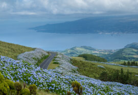 Azores ocean