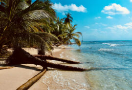 BVI beach in the British Virgin Islands, Caribbean
