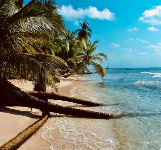 BVI beach in the British Virgin Islands, Caribbean