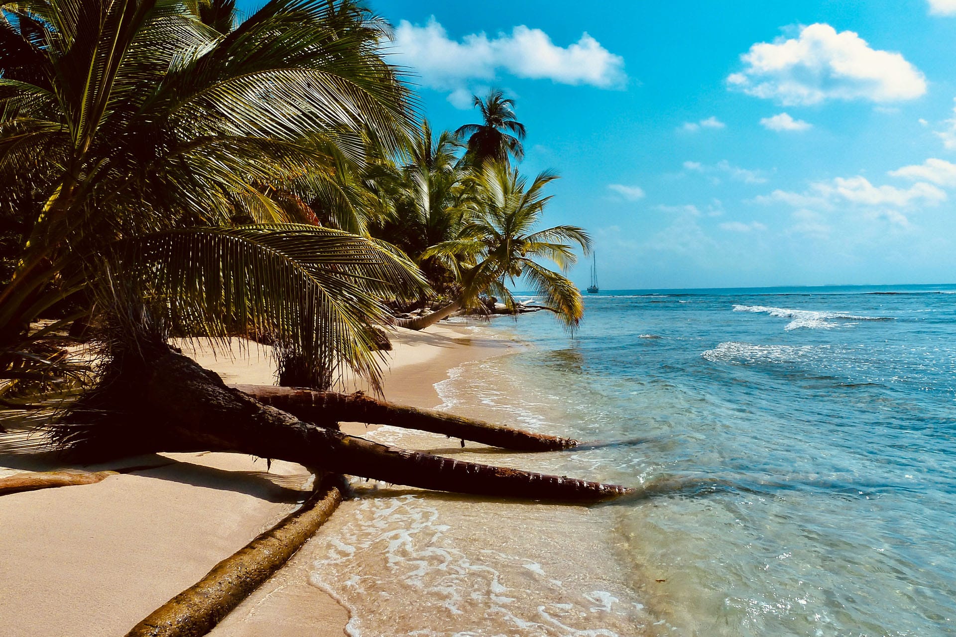 BVI beach in the British Virgin Islands, Caribbean