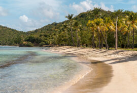 Beach on Mustique island, Caribbean, St Vincent and the Grenadines