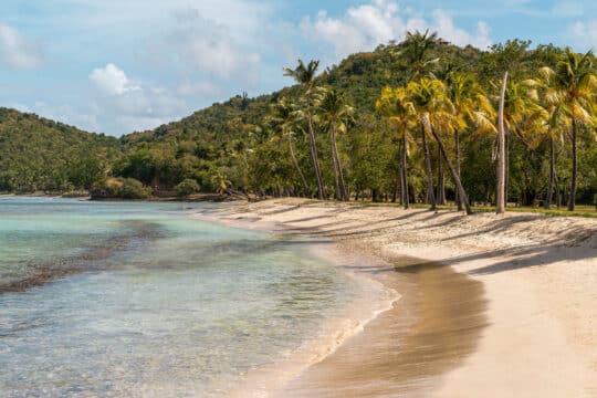 Beach on Mustique island, Caribbean, St Vincent and the Grenadines
