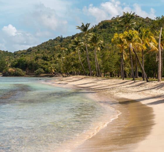 Beach on Mustique island, Caribbean, St Vincent and the Grenadines