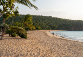 Beach on the island of Mayreau, Caribbean