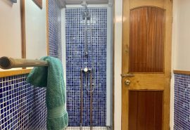 Bessie bathroom shower