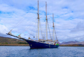 Blue Clipper Anchored Small isles