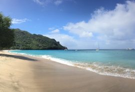 Blue Clipper Caribbean beach