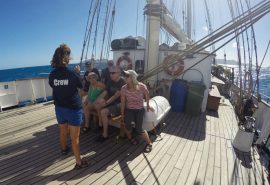 Blue Clipper Crew Guests