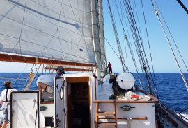 Blue Clipper Sailing
