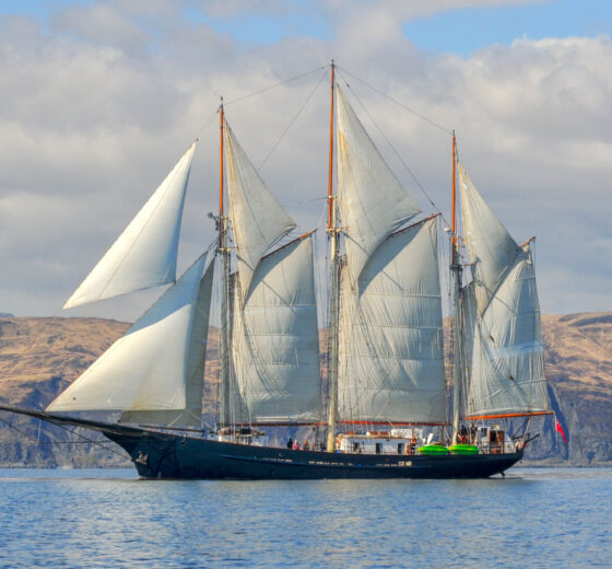 Blue Clipper full sails Scotland