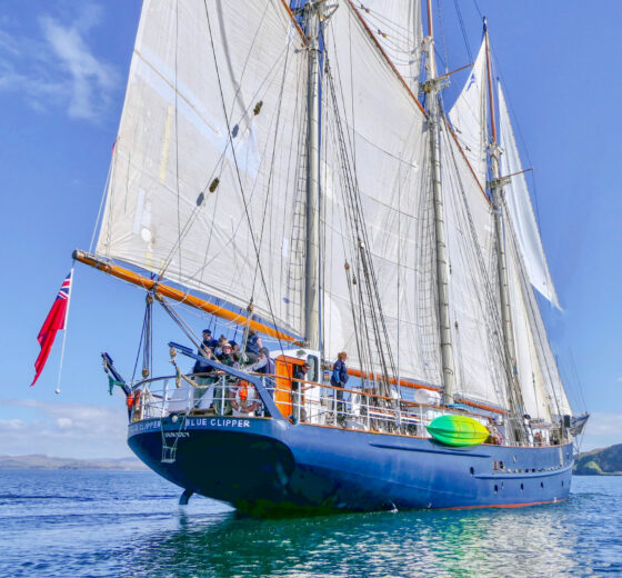 Blue Clipper full sails stern scotland