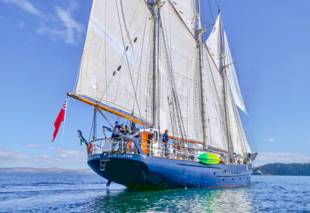 Tall Ship Sailing in the Caribbean