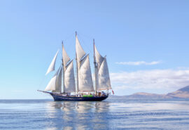 Blue Clipper full sails sunshine sailing