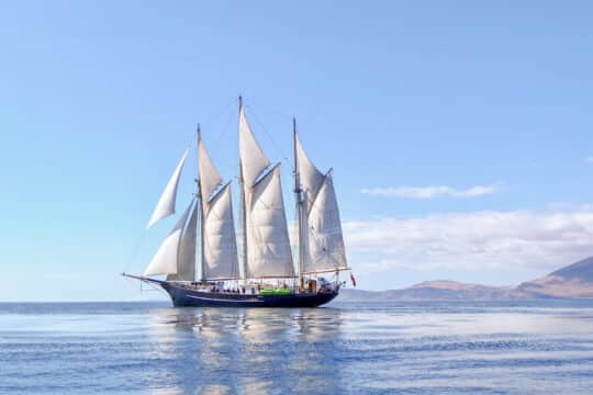 Blue Clipper full sails sunshine sailing