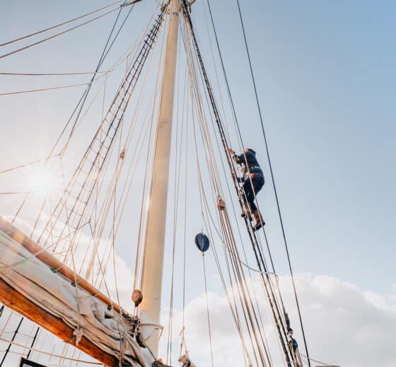 Blue Clipper guest climbing rigging on tall ship