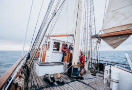 Blue Clipper guests at helm sailing on deck