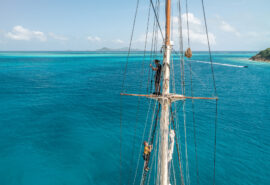 Blue Clipper guests climbing the mast at Tobago Cays, Caribbean tall ship