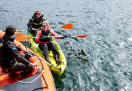 Blue Clipper guests kayaks