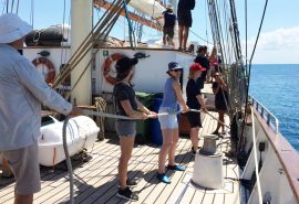Blue Clipper guests on deck