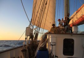 Blue Clipper guests on deck at sunset