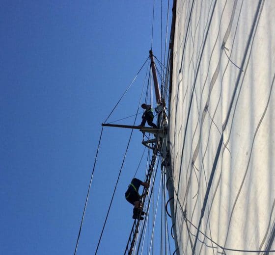 Blue Clipper guests up the mast