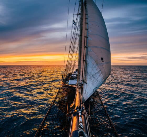 Blue Clipper tall ship from bowsprit at sunset