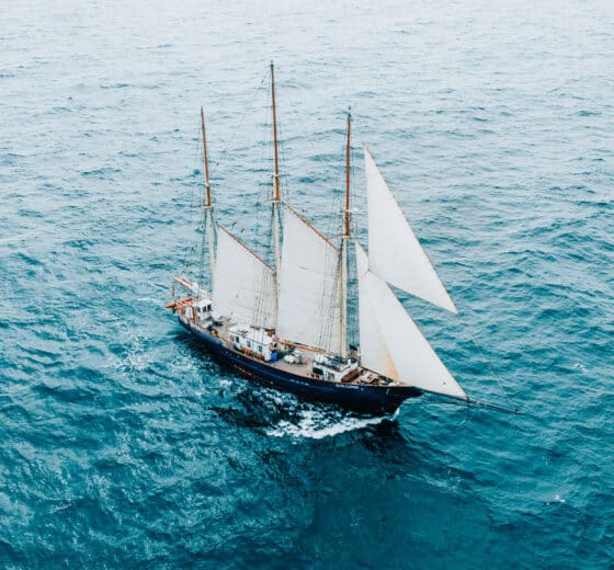 Blue Clipper tall ship sailing open ocean