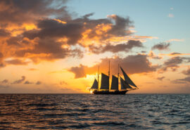 Blue Clipper tall ship sunset sailing in the open ocean Atlantic