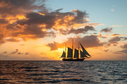 Blue Clipper tall ship sunset sailing in the open ocean Atlantic