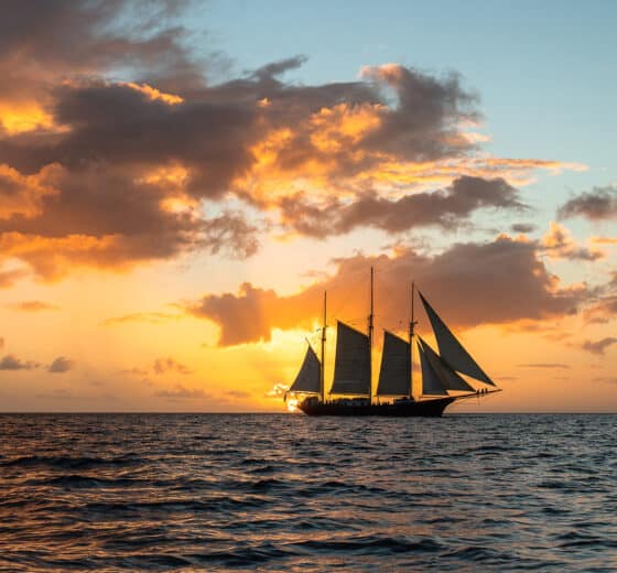 Blue Clipper tall ship sunset sailing in the open ocean Atlantic