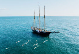 Blue Clipper tall ship with guests wild swimming